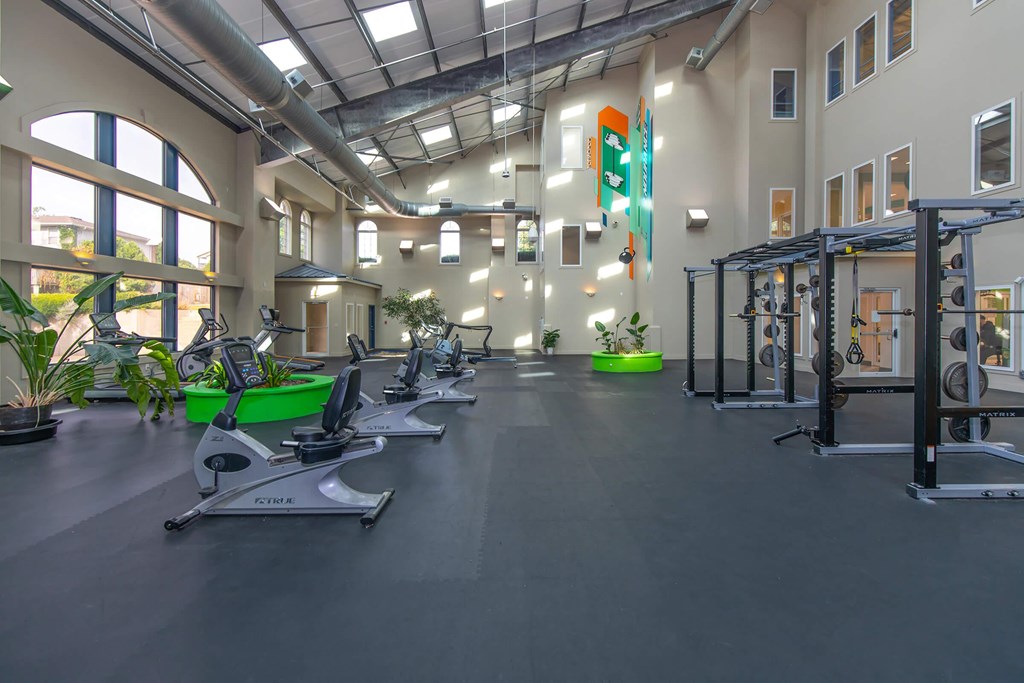 A gym with treadmills, elliptical machines, and other exercise equipment.