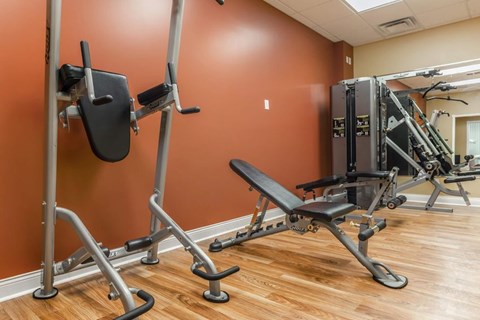 A gym with a row of weight benches and a row of weight racks.