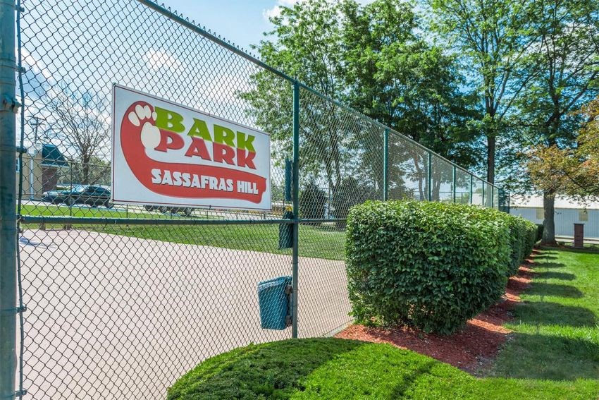 Sassafras Hill Apartments