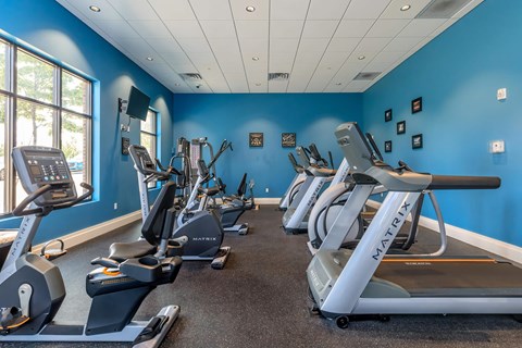 A gym with treadmills and elliptical machines.