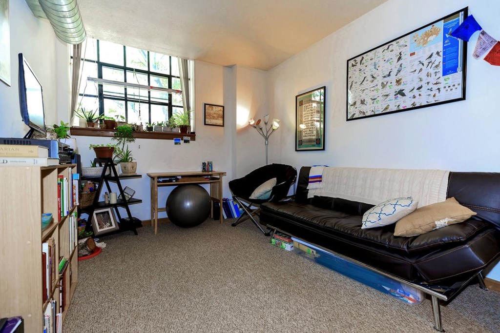 A living room with a black couch, a ball, a chair, a bookshelf, and a window.