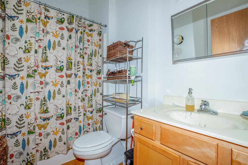 A bathroom with a toilet, sink, and shower curtain.