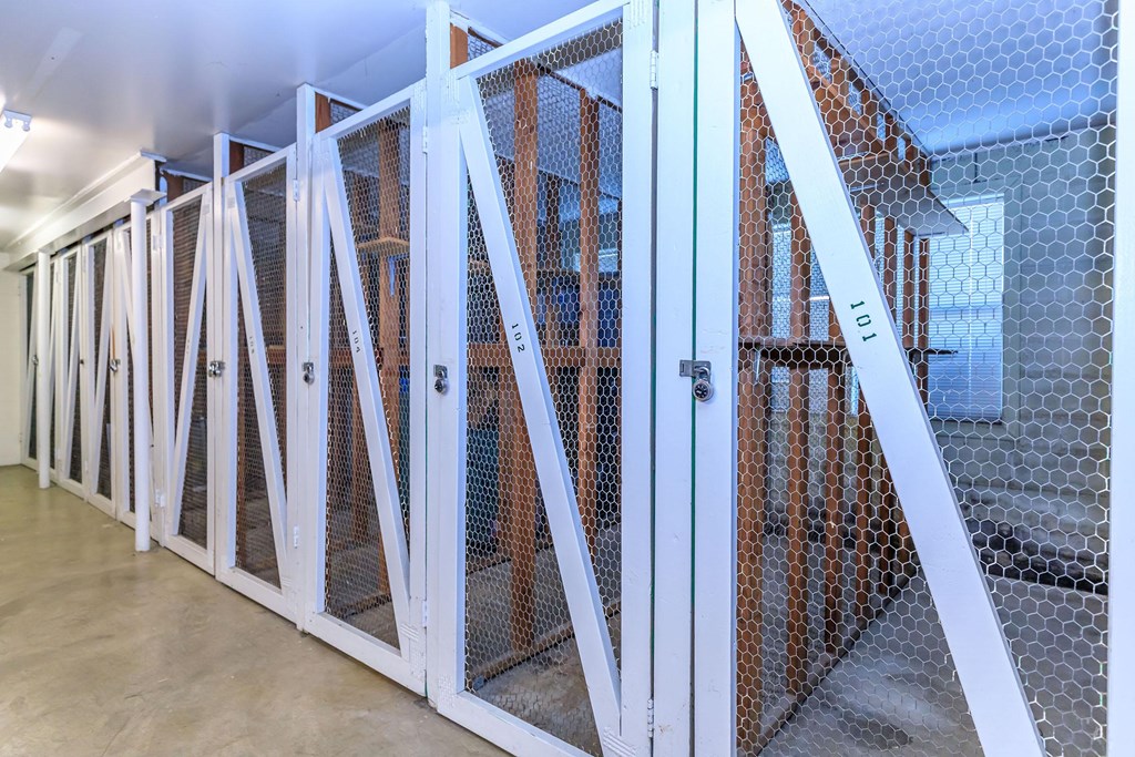 A room under construction with wooden beams and mesh panels.