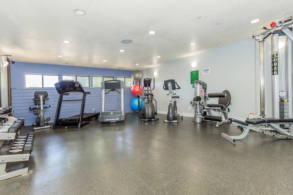A gym with a variety of equipment including a treadmill, weights, and a stationary bike.