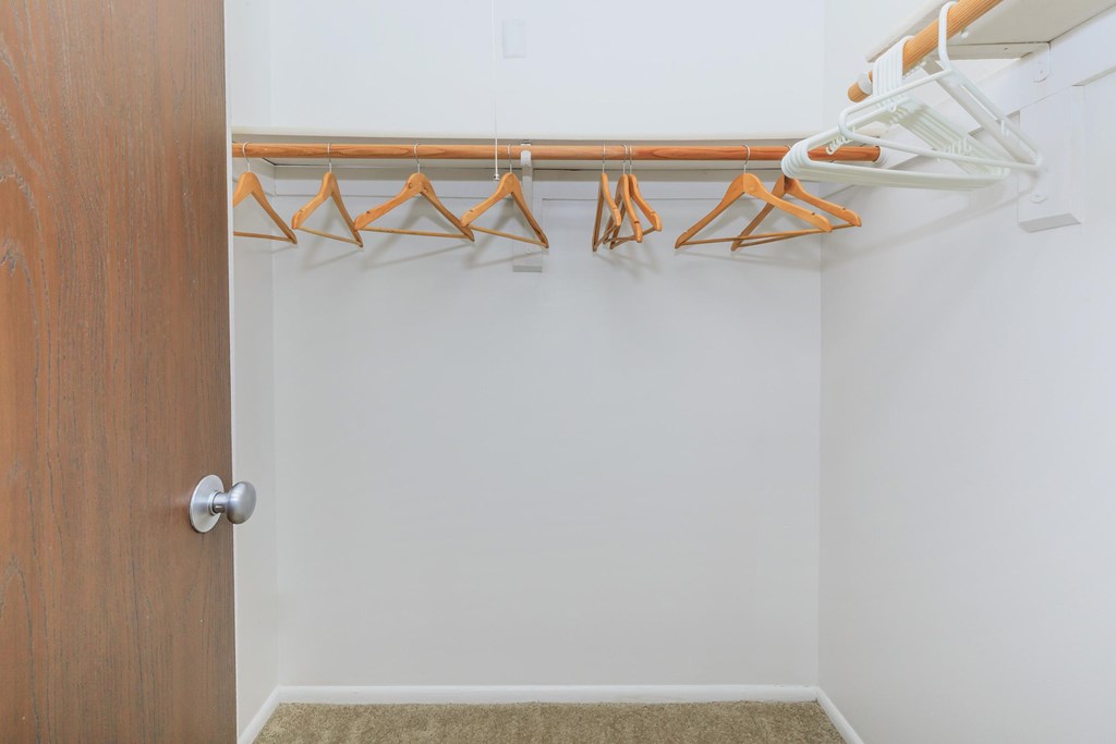 A white closet with a brown door and a carpet.