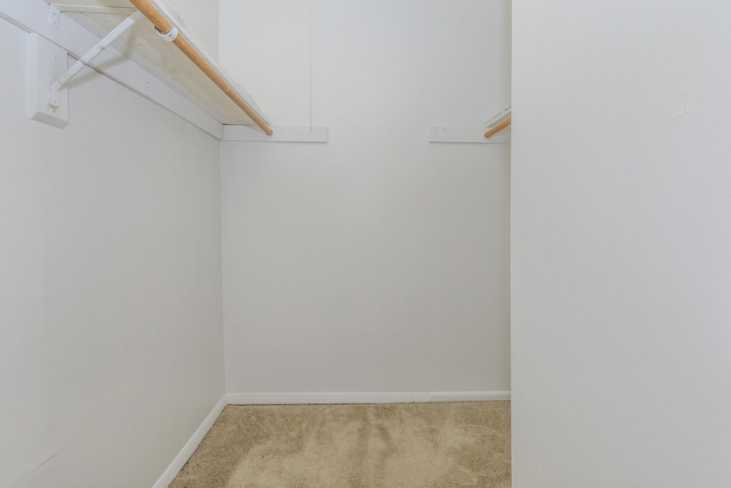 A white closet with a tan carpet.