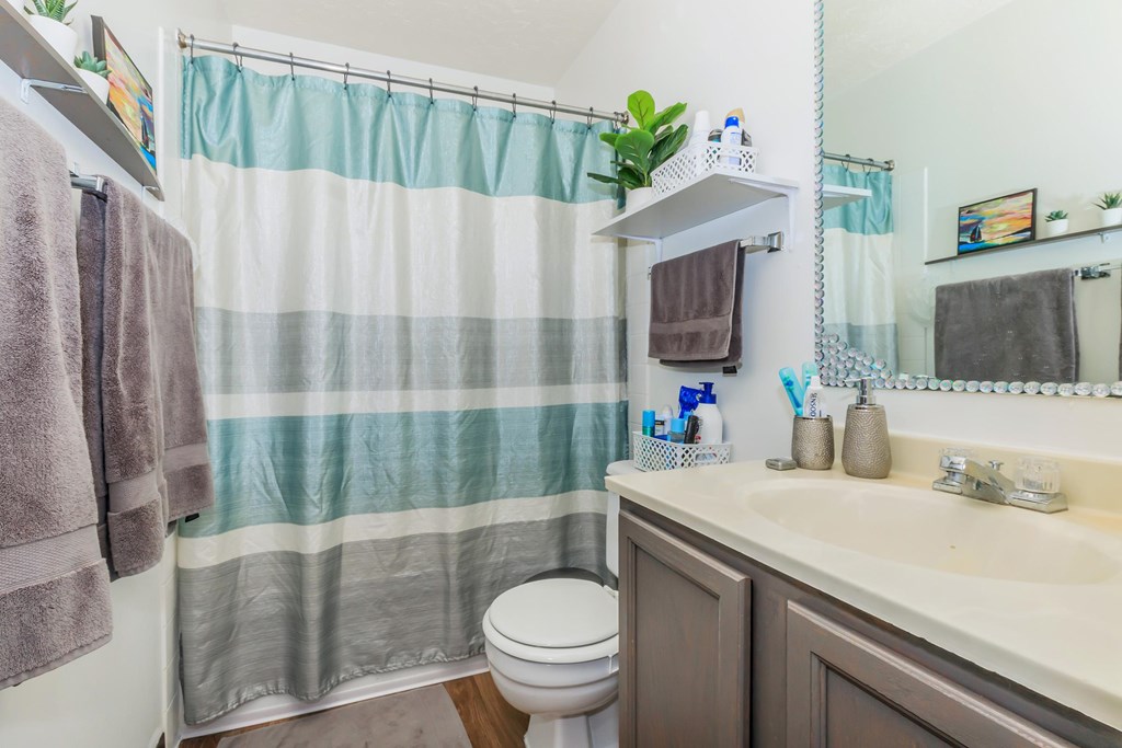 A bathroom with a toilet, sink, and shower curtain.