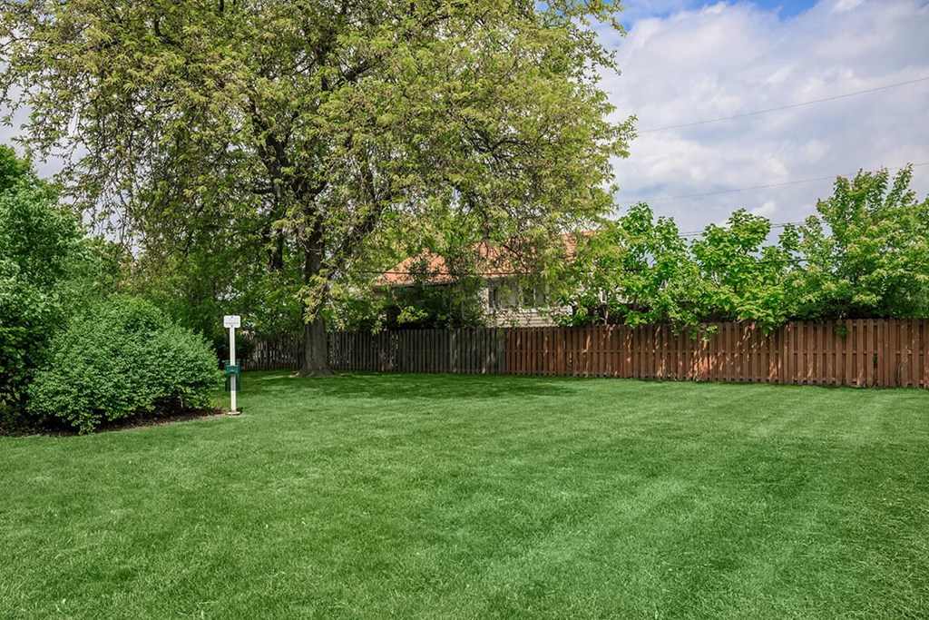 A backyard with a green lawn and a wooden fence.