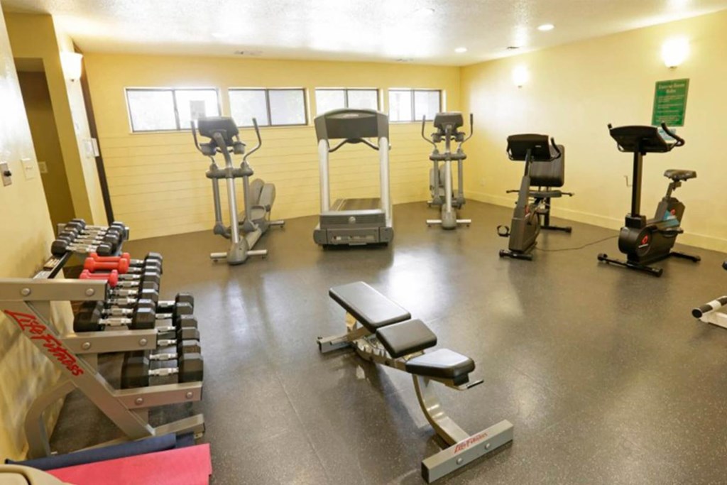 A gym with a variety of equipment including treadmills, stationary bikes, and weight machines.