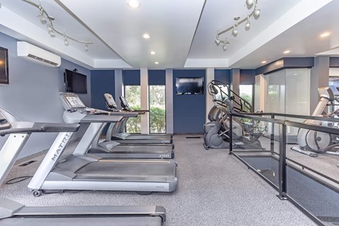 A home gym with treadmills and exercise equipment.