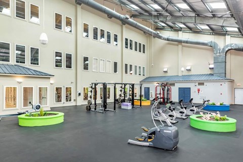 A gym with a variety of equipment including treadmills, weights, and exercise bikes.
