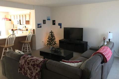 A living room with a grey couch, a black coffee table, and a small Christmas tree.