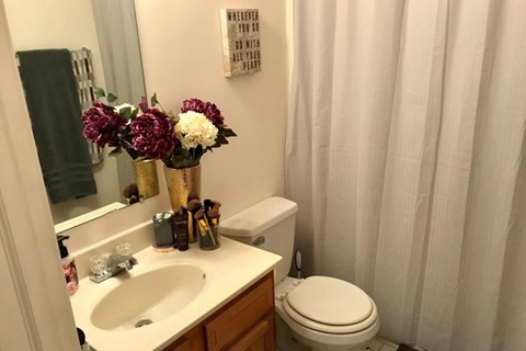A bathroom with a toilet, sink, and a vase of flowers.