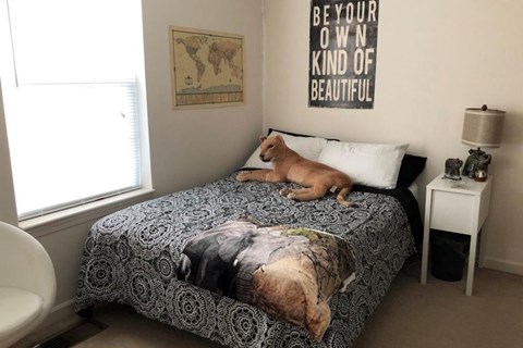 A dog is lying on a patterned bedspread in a room with a world map on the wall.