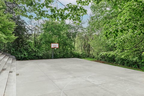 A basketball court surrounded by green trees.