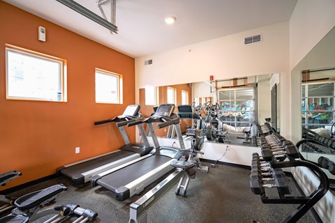 A gym with treadmills, elliptical machines, and other exercise equipment.