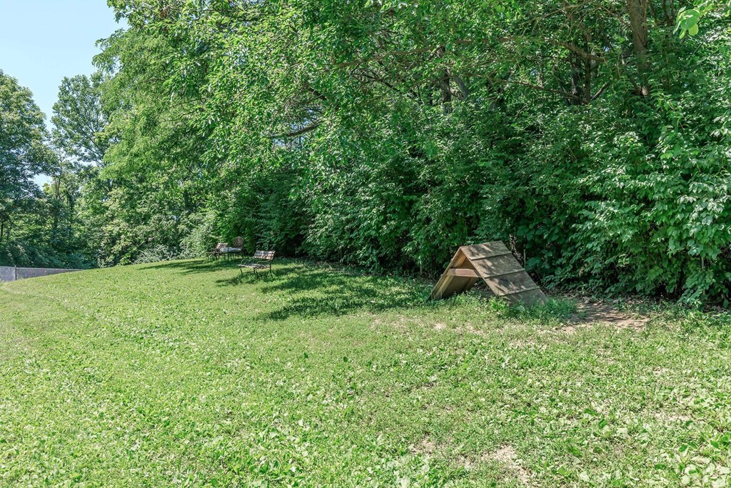 A field of green grass with a wooden structure in the middle.