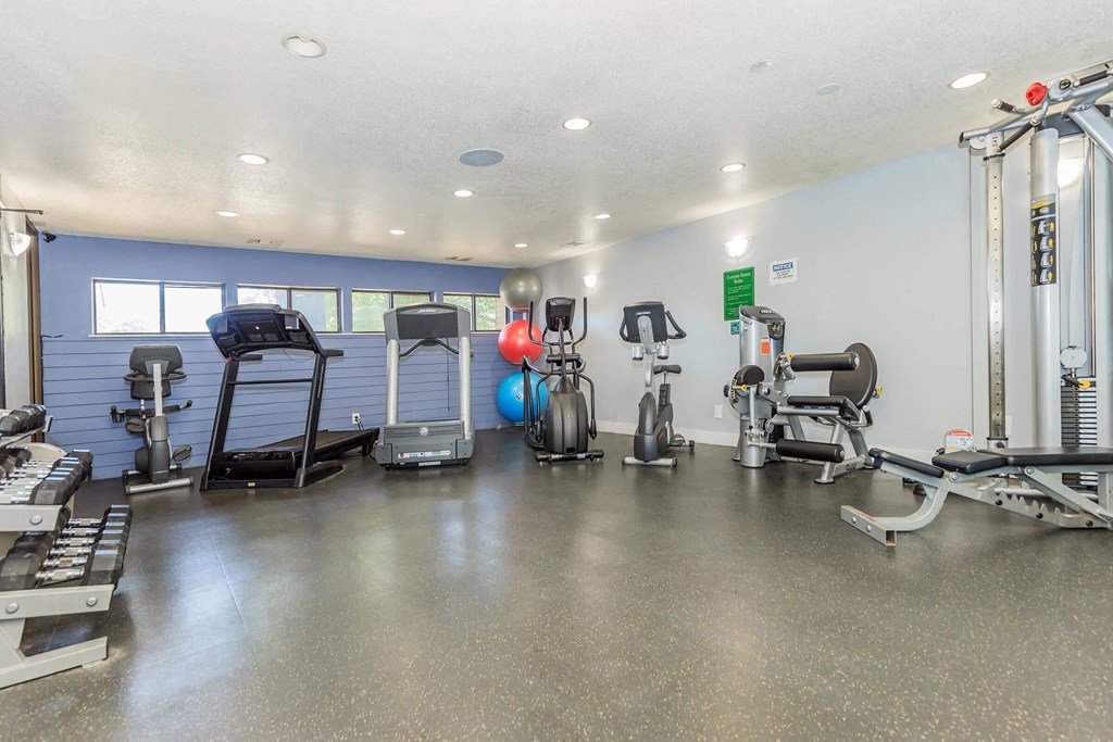 A gym with a variety of equipment including weights and cardio machines.