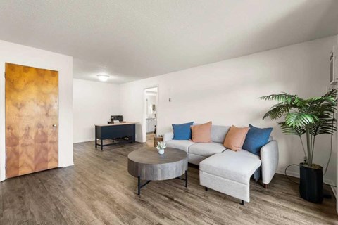 A living room with a grey couch, a coffee table, and a plant.