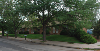 1201 Delaware 2-3 Beds Apartment for Rent - Photo Gallery 2