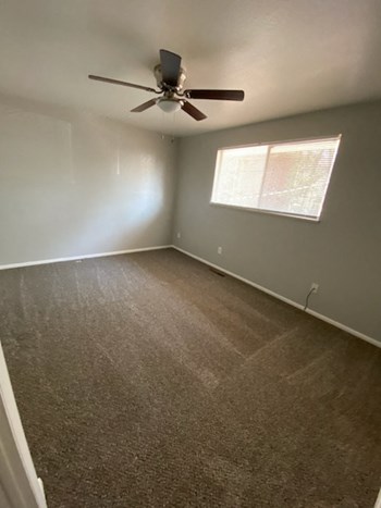 1201 Delaware 2-3 Beds Apartment for Rent - Photo Gallery 3