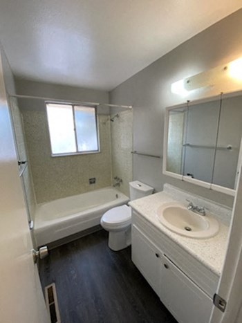1213 Upstairs Bathroom 1201 Delaware 2-3 Beds Apartment for Rent - Photo Gallery 4