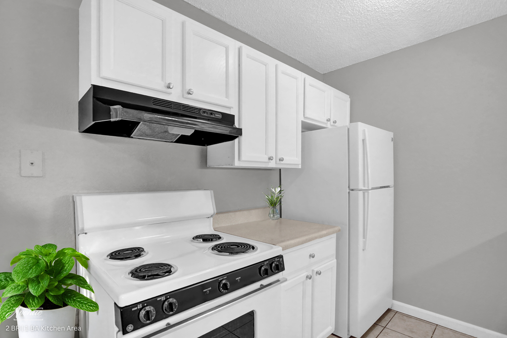 2 Bed / 1 Bath - Kitchen
