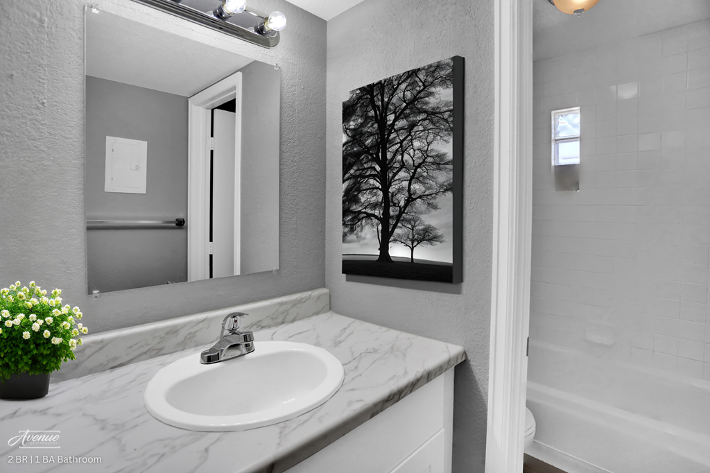 2 Bed / 1 Bath - Bathroom (Virtual Staging)