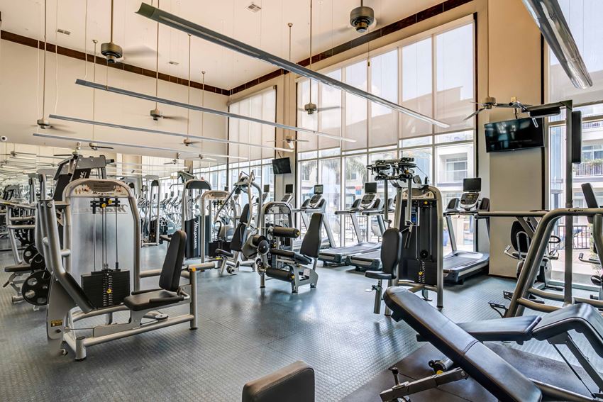 gym gym
