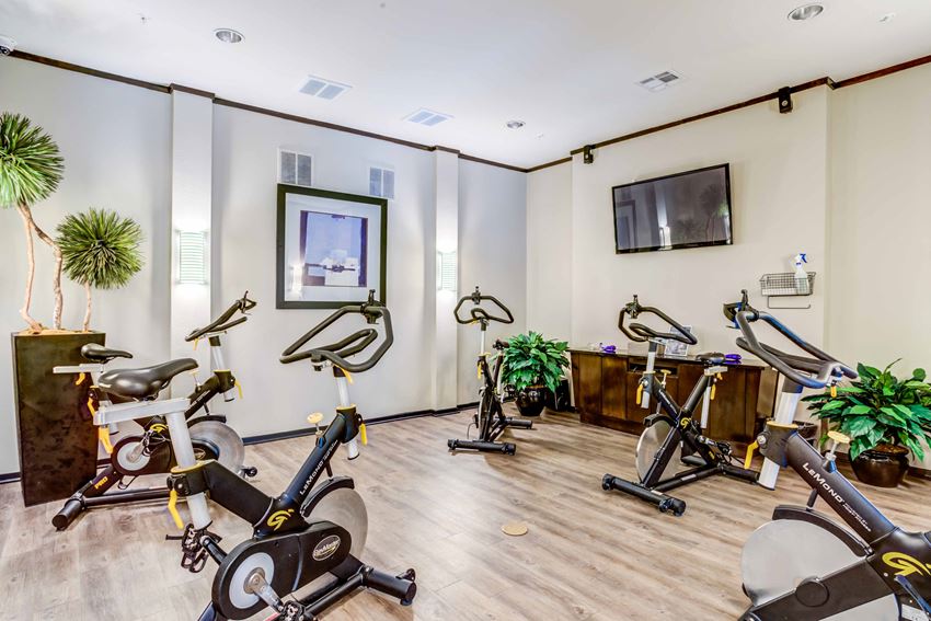 gym gym