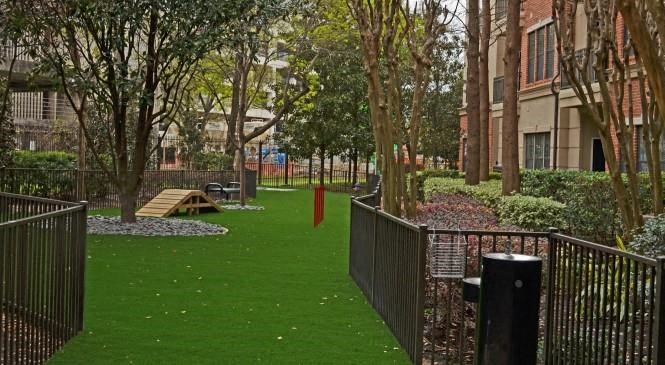 a yard with green grass and a fence