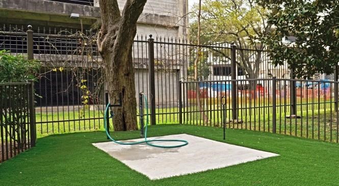 a swing set in a park next to a tree