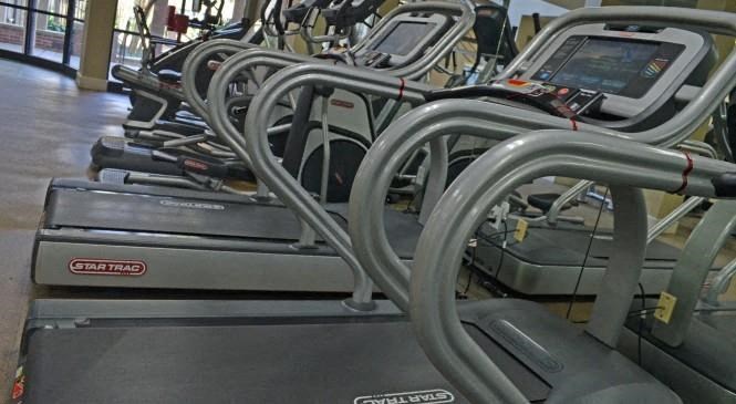 a row of cardio machines in a gym