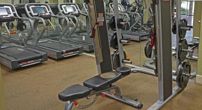 a group of exercise equipment in a gym