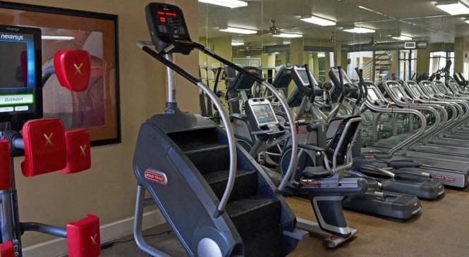 a row of cardio machines in a gym