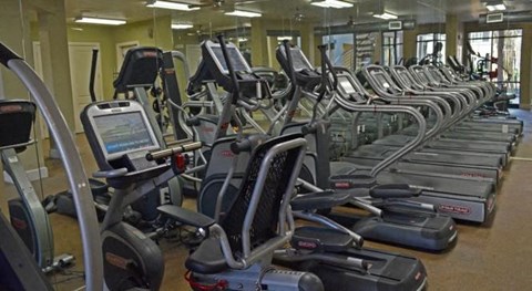 a row of cardio machines in a gym