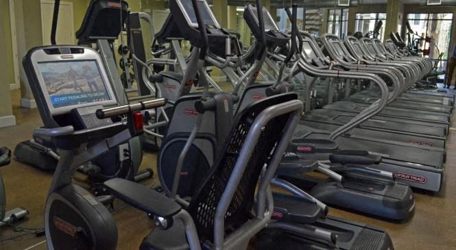 a row of cardio machines in a gym
