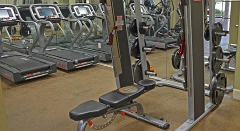 a group of exercise equipment in a gym