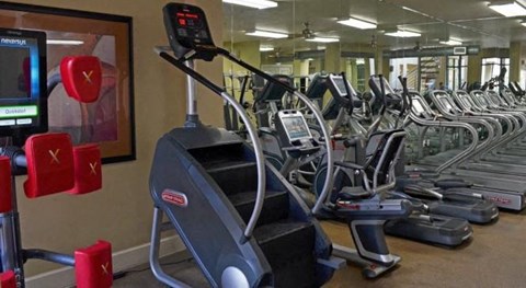 a row of cardio machines in a gym