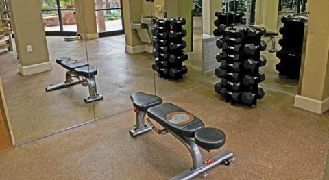 a gym with a row of weights and a mirror