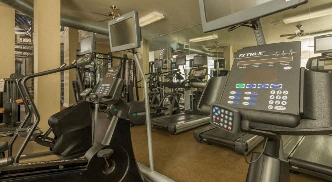 the gym has a lot of cardio equipment in it