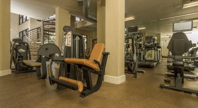 a gym with cardio equipment and weights in a building