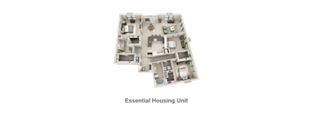 esC2.P6