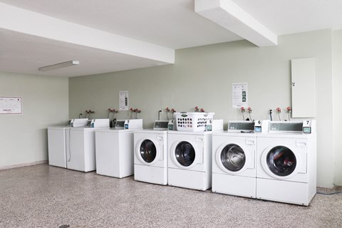 a row of washers and dryers in a laundry room