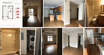222 Portland Street 1-2 Beds Apartment for Rent - Photo Gallery 4