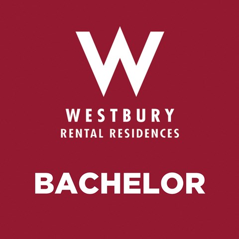 A red poster with the word "Bachelor" written on it.
