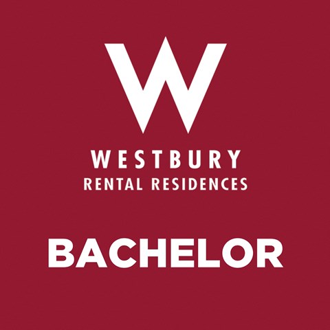 A red poster with the word "Bachelor" written on it.