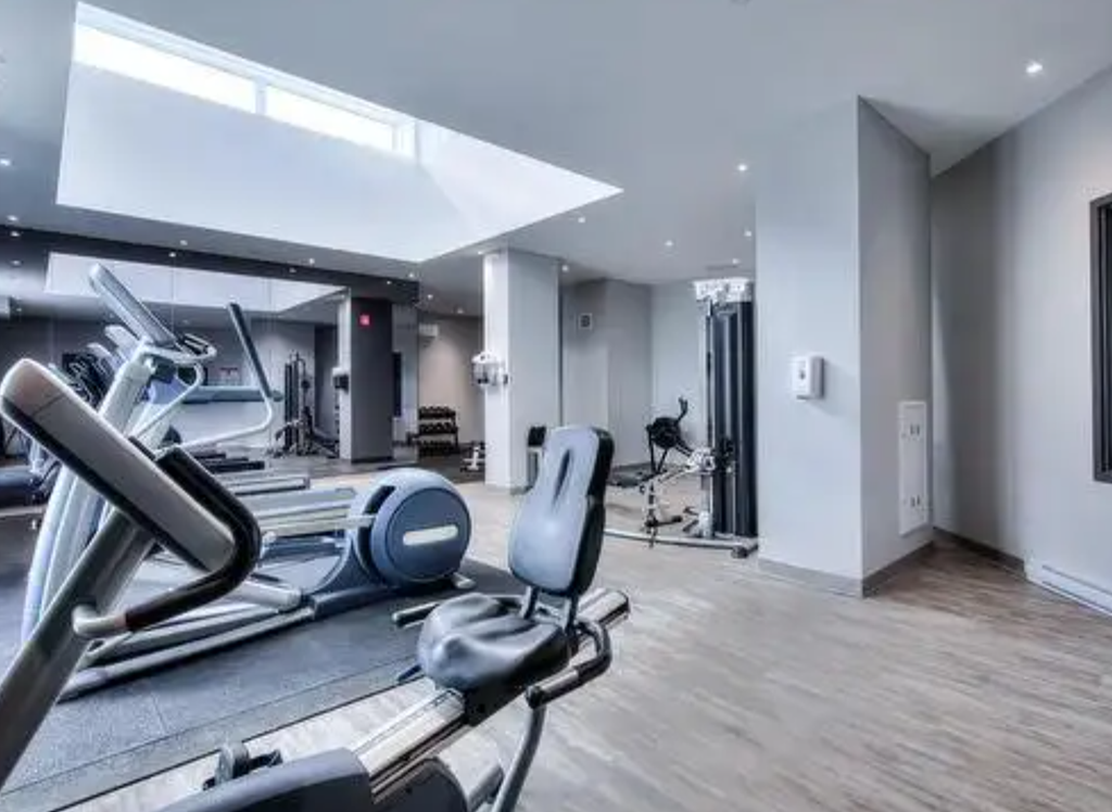 the gym is equipped with cardio equipment and weights