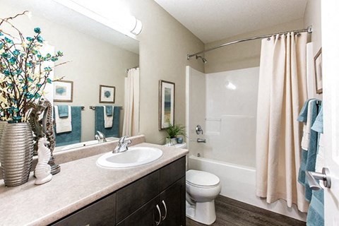 a bathroom with a sink and a toilet