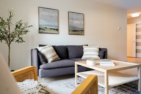 A living room with a grey couch, a coffee table, and two landscape paintings on the wall.
